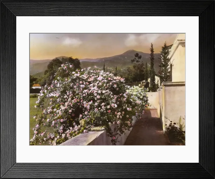 Framed Print : El Fureidis, James Waldron Gillespie house, Parra Grande Lane, Montecito, California, 1917. Creator: Frances Benjamin Johnston. El Fureidis, James Waldron Gillespie house, Parra Grande Lane, Montecito, California, 1917 Framed Print : El Fureidis, James Waldron Gillespie house, Parra Grande Lane, Montecito, California, 1917. Creator: Frances Benjamin Johnston. El Fureidis, James Waldron Gillespie house, Parra Grande Lane, Montecito, California, 1917