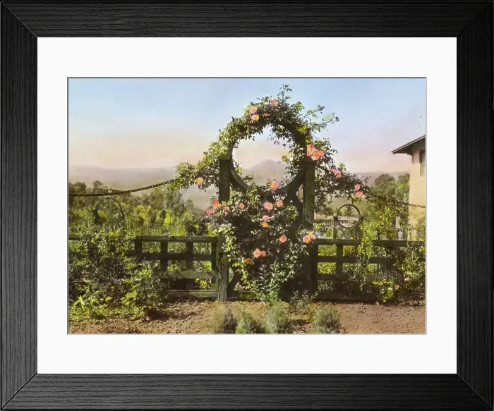 Framed Print : Casa de Mariposa, Walter Franklin Cobb house, Butterfly Lane, Montecito, California, 1917. Creator: Frances Benjamin Johnston. Casa de Mariposa, Walter Franklin Cobb house, Butterfly Lane, Montecito, California, 1917 Framed Print : Casa de Mariposa, Walter Franklin Cobb house, Butterfly Lane, Montecito, California, 1917. Creator: Frances Benjamin Johnston. Casa de Mariposa, Walter Franklin Cobb house, Butterfly Lane, Montecito, California, 1917
