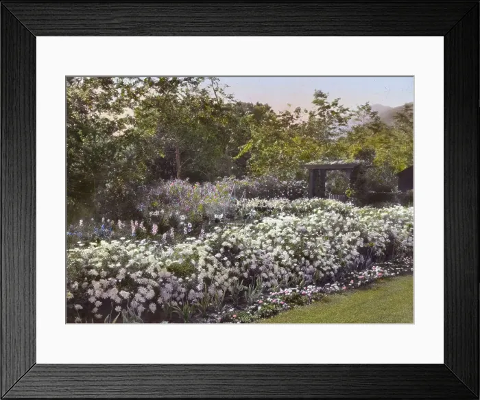 Framed Print : Glen Oaks, James Hobart Moore house, East Valley Road, Montecito, California, 1917. Creator: Frances Benjamin Johnston. Glen Oaks, James Hobart Moore house, East Valley Road, Montecito, California, 1917 Framed Print : Glen Oaks, James Hobart Moore house, East Valley Road, Montecito, California, 1917. Creator: Frances Benjamin Johnston. Glen Oaks, James Hobart Moore house, East Valley Road, Montecito, California, 1917