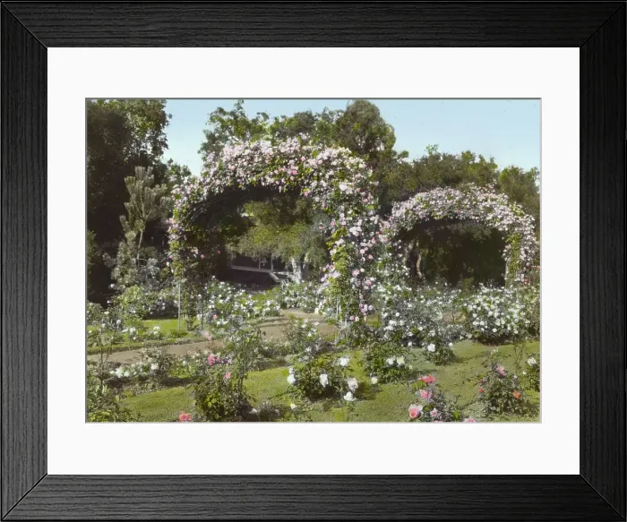 Framed Print : Glen Oaks, James Hobart Moore house, East Valley Road, Montecito, California, 1917. Creator: Frances Benjamin Johnston. Glen Oaks, James Hobart Moore house, East Valley Road, Montecito, California, 1917 Framed Print : Glen Oaks, James Hobart Moore house, East Valley Road, Montecito, California, 1917. Creator: Frances Benjamin Johnston. Glen Oaks, James Hobart Moore house, East Valley Road, Montecito, California, 1917