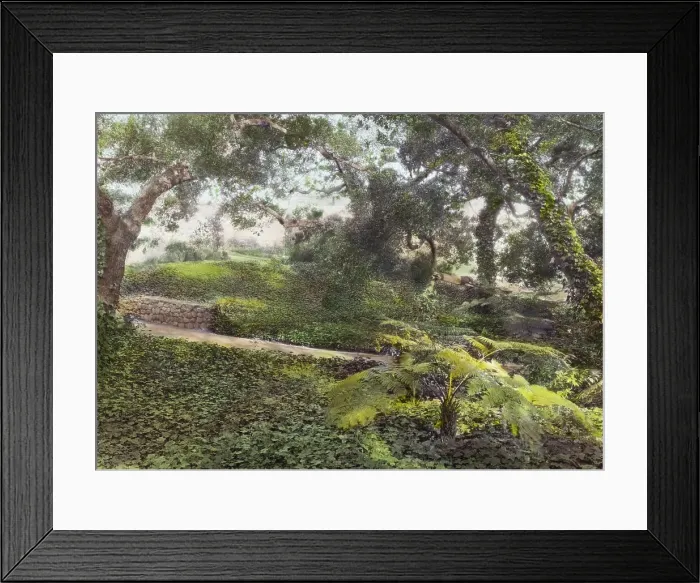 Framed Print : Glen Oaks, James Hobart Moore house, East Valley Road, Montecito, California, 1917. Creator: Frances Benjamin Johnston. Glen Oaks, James Hobart Moore house, East Valley Road, Montecito, California, 1917 Framed Print : Glen Oaks, James Hobart Moore house, East Valley Road, Montecito, California, 1917. Creator: Frances Benjamin Johnston. Glen Oaks, James Hobart Moore house, East Valley Road, Montecito, California, 1917
