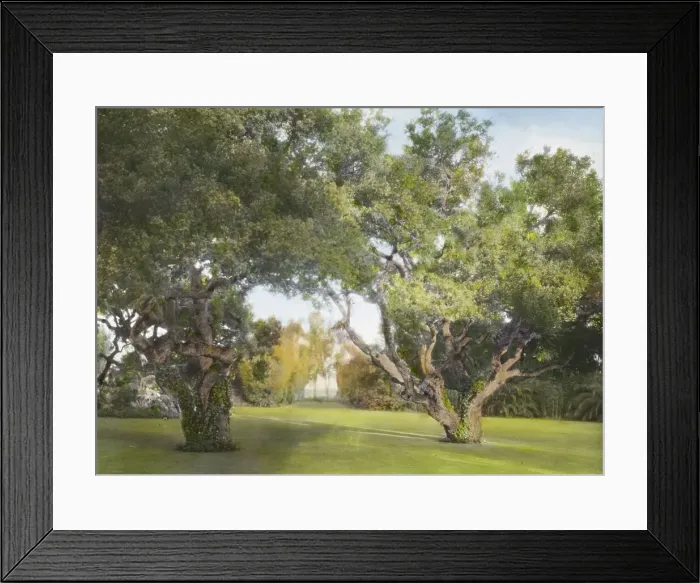 Framed Print : La Chiquita, Francis Townsend Underhill house, Channel Drive, Montecito, California, 1917. Creator: Frances Benjamin Johnston. La Chiquita, Francis Townsend Underhill house, Channel Drive, Montecito, California, 1917 Framed Print : La Chiquita, Francis Townsend Underhill house, Channel Drive, Montecito, California, 1917. Creator: Frances Benjamin Johnston. La Chiquita, Francis Townsend Underhill house, Channel Drive, Montecito, California, 1917