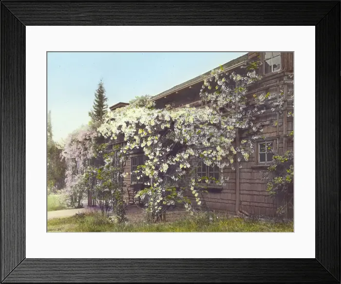 Framed Print : John Constantine Hillman house, 514 California Terrace, Pasadena, California, 1917. Creator: Frances Benjamin Johnston Framed Print : John Constantine Hillman house, 514 California Terrace, Pasadena, California, 1917. Creator: Frances Benjamin Johnston