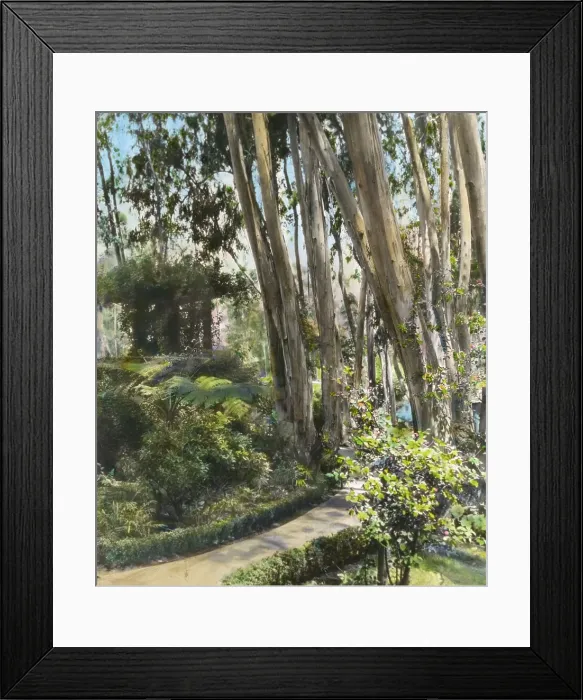Framed Print : Unidentified house, possibly Pasadena, California, 1917. Creator: Frances Benjamin Johnston Framed Print : Unidentified house, possibly Pasadena, California, 1917. Creator: Frances Benjamin Johnston