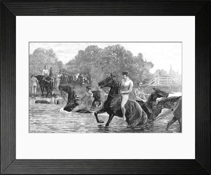 Framed Print : The Cavalry Manoevres in Berkshire - Officers of the Horse Guards and Life Guards, 1890. Creator: John Charlton Framed Print : The Cavalry Manoevres in Berkshire - Officers of the Horse Guards and Life Guards, 1890. Creator: John Charlton
