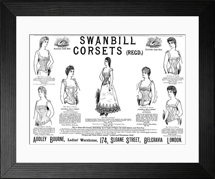 Framed Print : Swanbill Corsets, 1890. Creator: Unknown Framed Print : Swanbill Corsets, 1890. Creator: Unknown