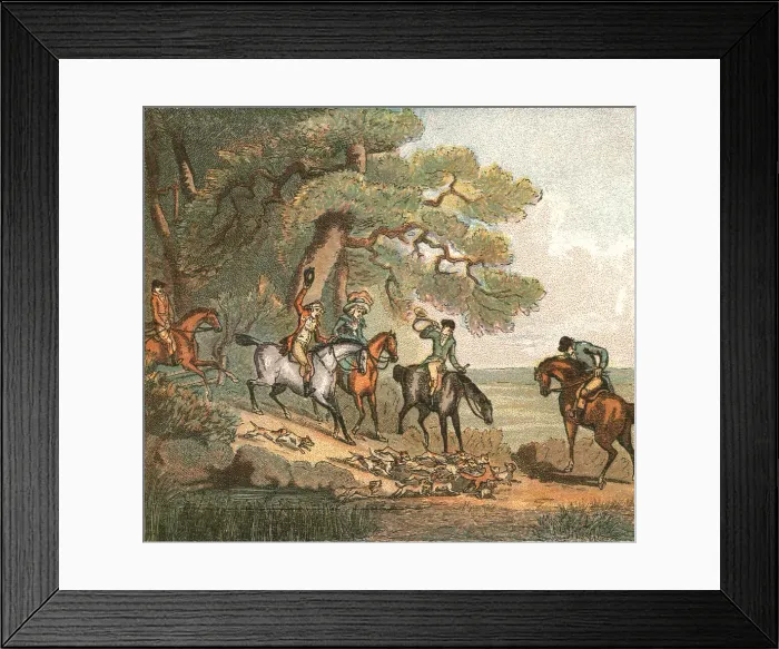 Framed Print : Old Fashioned Sporting Pictures, and the Road to Bygone Days; Fox Hunting -1887--The Kill, 1890. Creator: Thomas Rowlandson Framed Print : Old Fashioned Sporting Pictures, and the Road to Bygone Days; Fox Hunting -1887--The Kill, 1890. Creator: Thomas Rowlandson