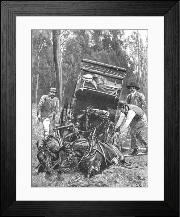 Framed Print : Mired -- Travelling under difficulties in Tasmania, 1890. Creator: Unknown. Mired -- Travelling under difficulties in Tasmania, 1890. Creator: Unknown Framed Print : Mired -- Travelling under difficulties in Tasmania, 1890. Creator: Unknown. Mired -- Travelling under difficulties in Tasmania, 1890. Creator: Unknown