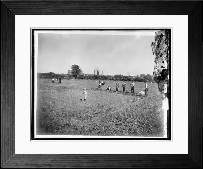 Framed Print : National Emergency Food Garden, between 1910 and 1920. Creator: Harris & Ewing. National Emergency Food Garden, between 1910 and 1920. Creator: Harris & Ewing