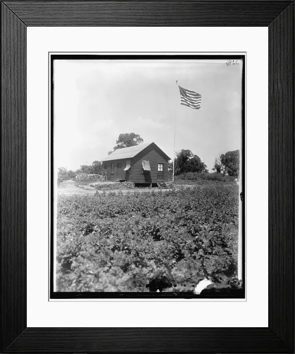 Framed Print : National Emergency, between 1910 and 1920. Creator: Harris & Ewing. National Emergency, between 1910 and 1920. Creator: Harris & Ewing Framed Print : National Emergency, between 1910 and 1920. Creator: Harris & Ewing. National Emergency, between 1910 and 1920. Creator: Harris & Ewing