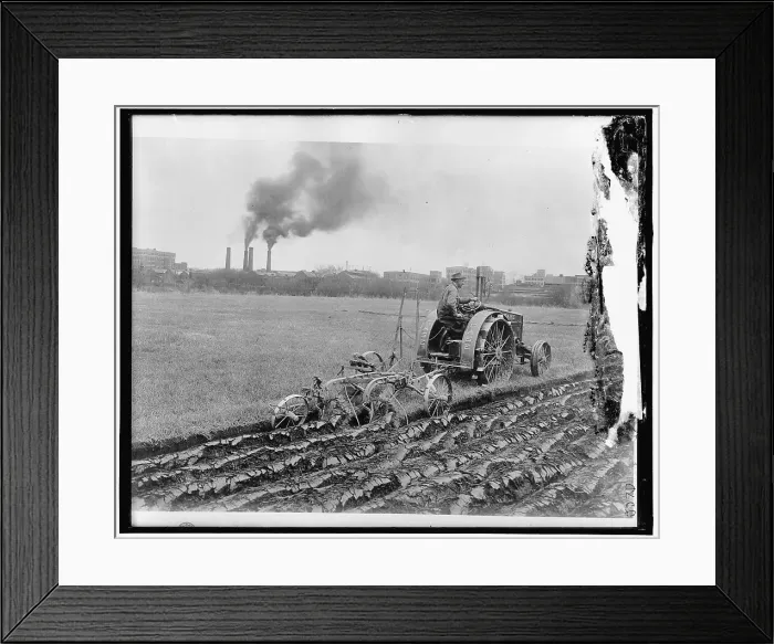 Framed Print : Food Garden Commission, between 1910 and 1920. Creator: Harris & Ewing. Food Garden Commission, between 1910 and 1920. Creator: Harris & Ewing Framed Print : Food Garden Commission, between 1910 and 1920. Creator: Harris & Ewing. Food Garden Commission, between 1910 and 1920. Creator: Harris & Ewing