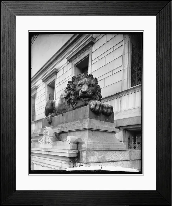 Framed Print : Lions at Corcoran Art Gallery, between 1910 and 1920. Creator: Harris & Ewing. Lions at Corcoran Art Gallery, between 1910 and 1920. Creator: Harris & Ewing Framed Print : Lions at Corcoran Art Gallery, between 1910 and 1920. Creator: Harris & Ewing. Lions at Corcoran Art Gallery, between 1910 and 1920. Creator: Harris & Ewing