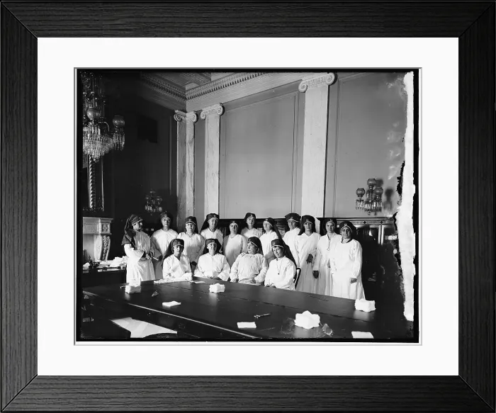 Framed Print : Senate Women, between 1910 and 1920. Creator: Harris & Ewing. Senate Women, between 1910 and 1920. Creator: Harris & Ewing Framed Print : Senate Women, between 1910 and 1920. Creator: Harris & Ewing. Senate Women, between 1910 and 1920. Creator: Harris & Ewing