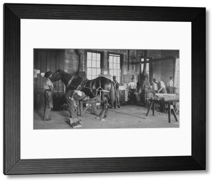 Framed Print : The blacksmith shop, 1904. Creator: Frances Benjamin Johnston Framed Print : The blacksmith shop, 1904. Creator: Frances Benjamin Johnston