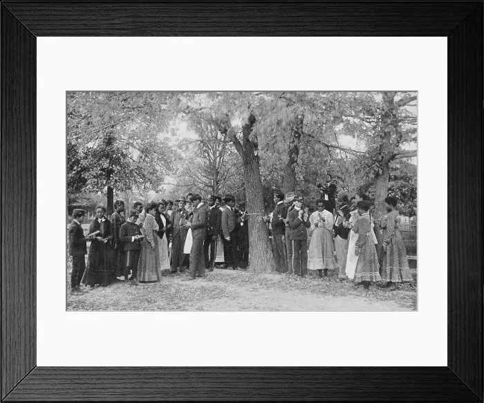 Framed Print : Class in outdoor nature study, 1904. Creator: Frances Benjamin Johnston Framed Print : Class in outdoor nature study, 1904. Creator: Frances Benjamin Johnston