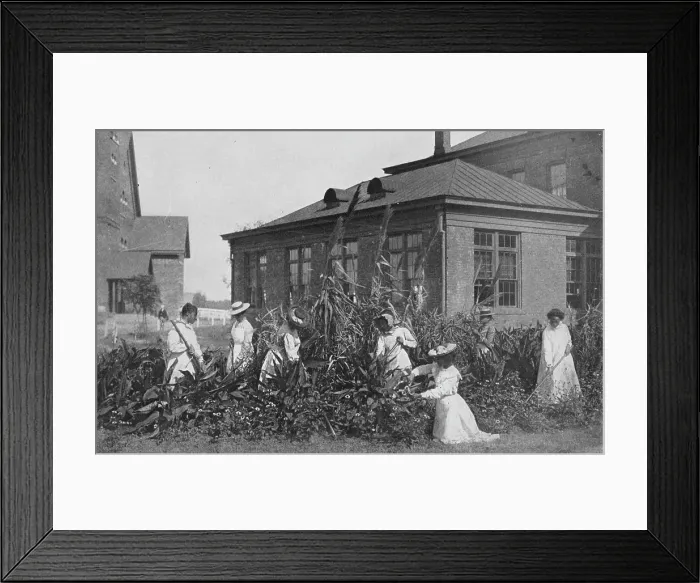 Framed Print : Outdoor work for girls, 1904. Creator: Frances Benjamin Johnston Framed Print : Outdoor work for girls, 1904. Creator: Frances Benjamin Johnston