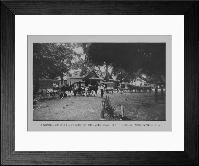 Framed Print : A number of Martin Ferguson's delivery wagons and horses, Jacksonville, Fla. 1902. Creator: Unknown Framed Print : A number of Martin Ferguson's delivery wagons and horses, Jacksonville, Fla. 1902. Creator: Unknown
