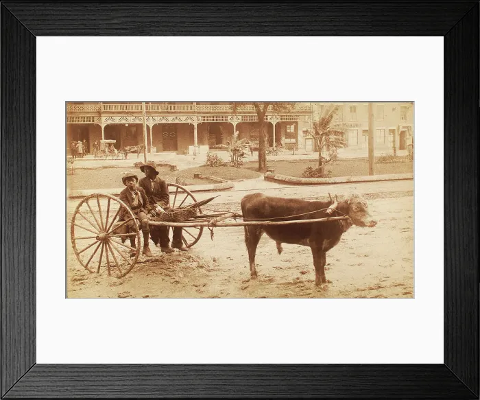 Framed Print : [A boy and a young man sitting on a cow-driven cart in muddy street], c1890-c1899. Creator: Unknown