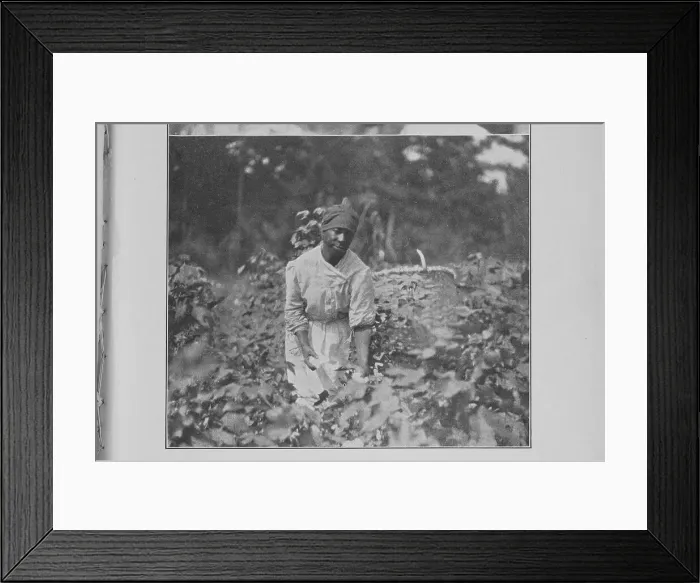 Framed Print : Two volumes of folk-lore, 1926. Creator: Unknown Framed Print : Two volumes of folk-lore, 1926. Creator: Unknown