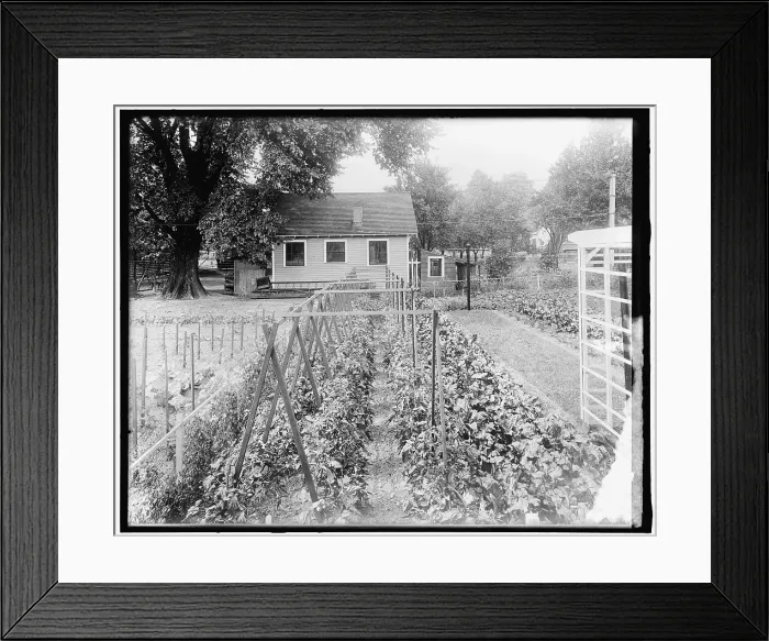 Framed Print : War Garden Commission, between 1910 and 1920. Creator: Harris & Ewing. War Garden Commission, between 1910 and 1920. Creator: Harris & Ewing Framed Print : War Garden Commission, between 1910 and 1920. Creator: Harris & Ewing. War Garden Commission, between 1910 and 1920. Creator: Harris & Ewing