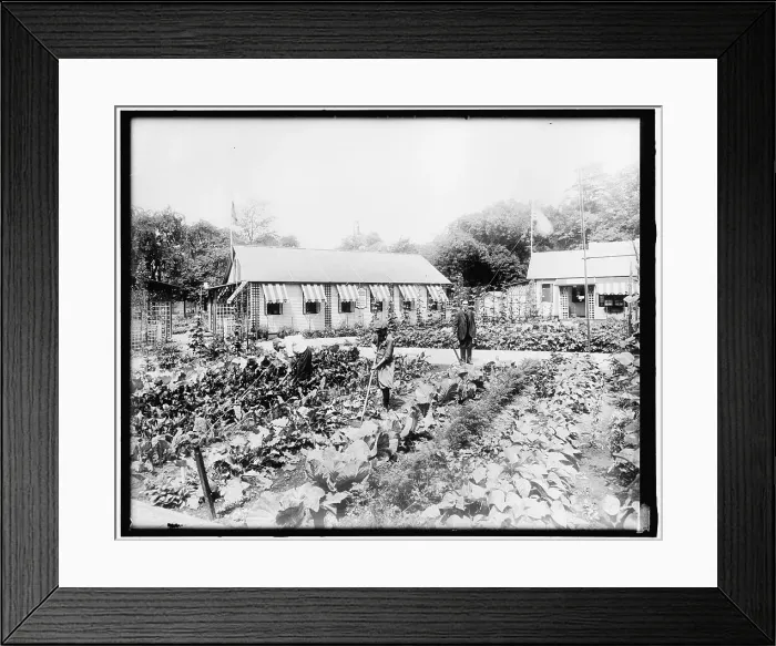 Framed Print : War Garden Commission, between 1910 and 1920. Creator: Harris & Ewing. War Garden Commission, between 1910 and 1920. Creator: Harris & Ewing Framed Print : War Garden Commission, between 1910 and 1920. Creator: Harris & Ewing. War Garden Commission, between 1910 and 1920. Creator: Harris & Ewing