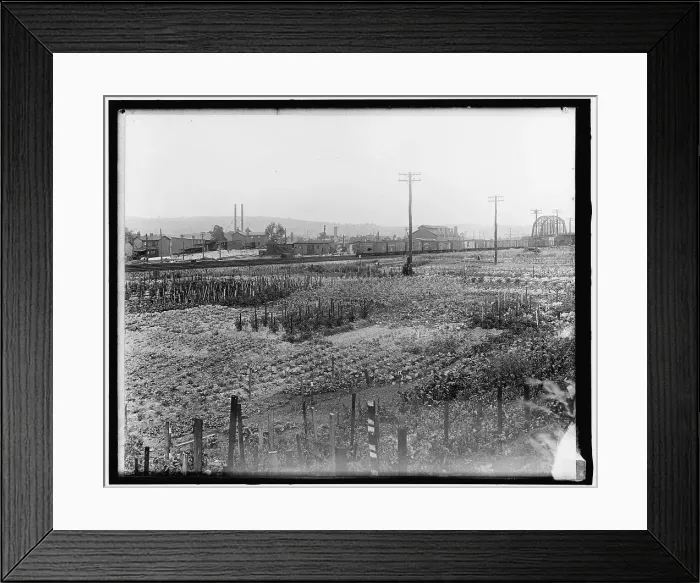 Framed Print : War Garden Commission, between 1910 and 1920. Creator: Harris & Ewing. War Garden Commission, between 1910 and 1920. Creator: Harris & Ewing Framed Print : War Garden Commission, between 1910 and 1920. Creator: Harris & Ewing. War Garden Commission, between 1910 and 1920. Creator: Harris & Ewing