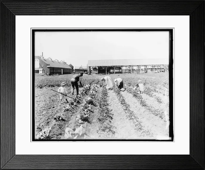 Framed Print : War Garden Commission, between 1910 and 1920. Creator: Harris & Ewing. War Garden Commission, between 1910 and 1920. Creator: Harris & Ewing Framed Print : War Garden Commission, between 1910 and 1920. Creator: Harris & Ewing. War Garden Commission, between 1910 and 1920. Creator: Harris & Ewing