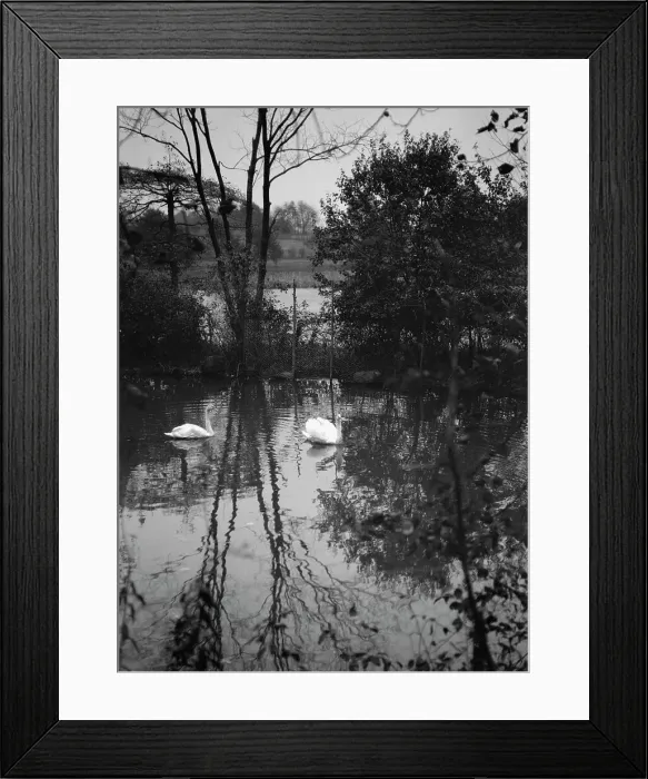 Framed Print : Taylor, Myron C. Mr. residence and grounds, Locust Valley, Long Island, New York, 1928 Nov. Creator: Arnold Genthe Framed Print : Taylor, Myron C. Mr. residence and grounds, Locust Valley, Long Island, New York, 1928 Nov. Creator: Arnold Genthe