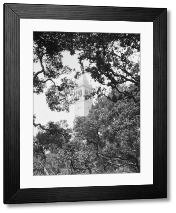 Framed Print : University of California at Berkeley views, 1927 Creator: Arnold Genthe Framed Print : University of California at Berkeley views, 1927 Creator: Arnold Genthe