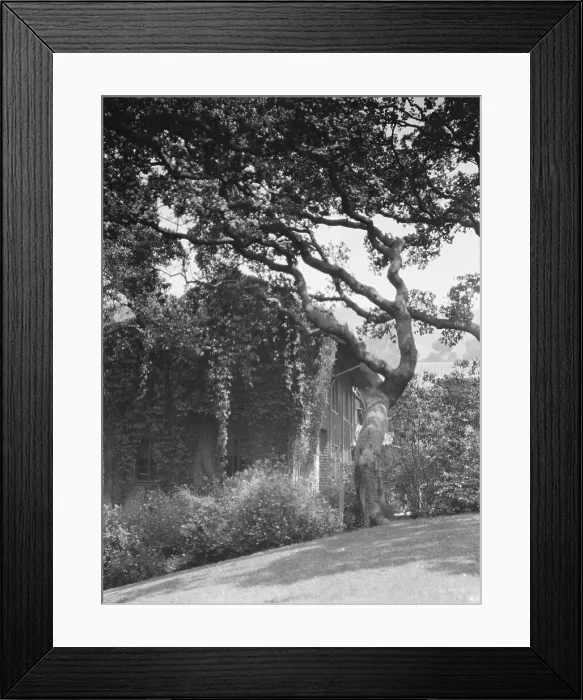 Framed Print : University of California at Berkeley views, 1927 Creator: Arnold Genthe Framed Print : University of California at Berkeley views, 1927 Creator: Arnold Genthe