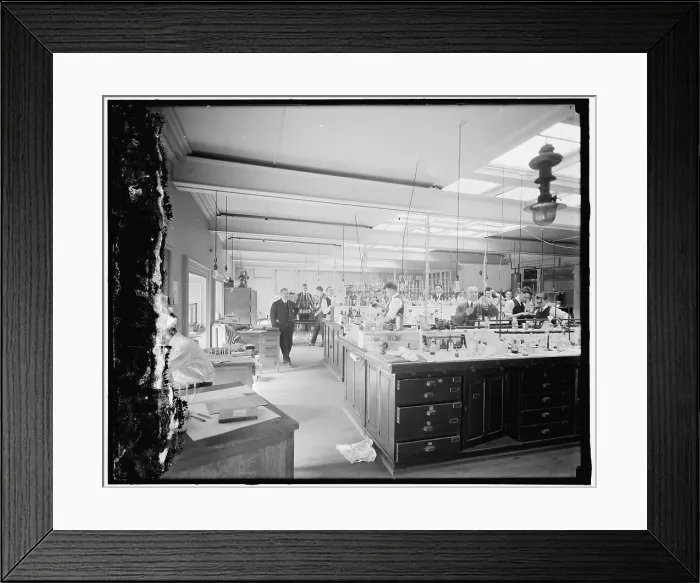 Framed Print : Treasury Dept. lab, between 1910 and 1920. Creator: Harris & Ewing. Treasury Dept. lab, between 1910 and 1920. Creator: Harris & Ewing Framed Print : Treasury Dept. lab, between 1910 and 1920. Creator: Harris & Ewing. Treasury Dept. lab, between 1910 and 1920. Creator: Harris & Ewing