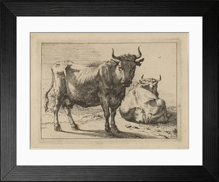 Framed Print : A Cow Standing and Another Lying Down, 1650. Creator: Paulus Potter Framed Print : A Cow Standing and Another Lying Down, 1650. Creator: Paulus Potter