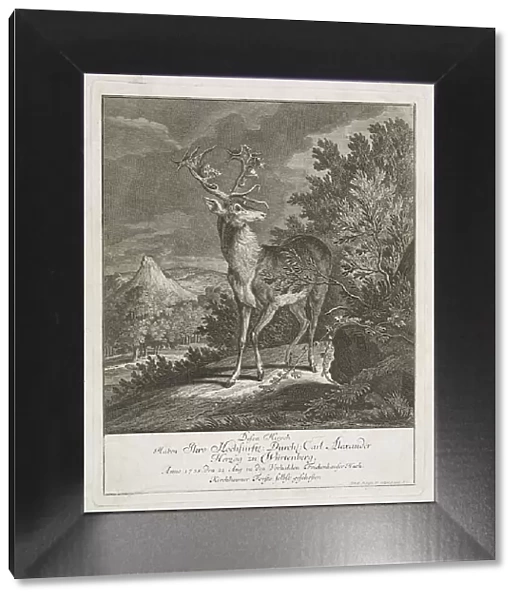 A Magnificent Stag in a Landscape, 1735. Creator: Johann Elias Ridinger