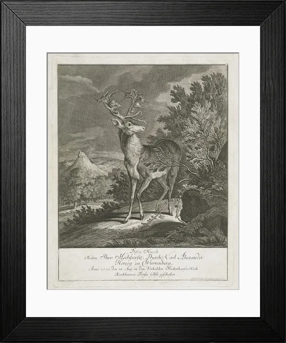 Framed Print : A Magnificent Stag in a Landscape, 1735. Creator: Johann Elias Ridinger Framed Print : A Magnificent Stag in a Landscape, 1735. Creator: Johann Elias Ridinger