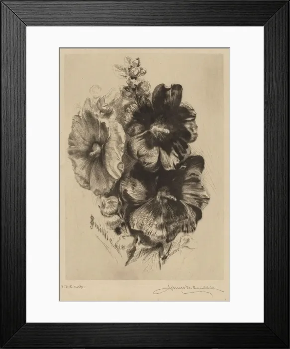 Framed Print : Dark Single Hollyhocks, 1890. Creator: James David Smillie Framed Print : Dark Single Hollyhocks, 1890. Creator: James David Smillie