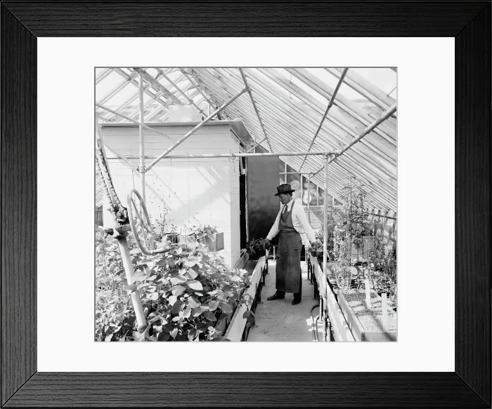 Framed Print : Dept. of Agriculture, between 1910 and 1920. Creator: Harris & Ewing. Dept. of Agriculture, between 1910 and 1920. Creator: Harris & Ewing Framed Print : Dept. of Agriculture, between 1910 and 1920. Creator: Harris & Ewing. Dept. of Agriculture, between 1910 and 1920. Creator: Harris & Ewing