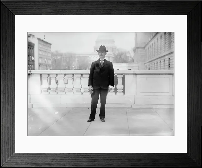 Framed Print : Henry George Jr. Rep. from New York, 1911. Creator: Harris & Ewing. Henry George Jr. Rep. from New York, 1911. Creator: Harris & Ewing Framed Print : Henry George Jr. Rep. from New York, 1911. Creator: Harris & Ewing. Henry George Jr. Rep. from New York, 1911. Creator: Harris & Ewing