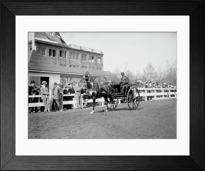 Framed Print : Horse Shows - Unidentified Men, Driving, 1911. Creator: Harris & Ewing. Horse Shows - Unidentified Men, Driving, 1911. Creator: Harris & Ewing Framed Print : Horse Shows - Unidentified Men, Driving, 1911. Creator: Harris & Ewing. Horse Shows - Unidentified Men, Driving, 1911. Creator: Harris & Ewing