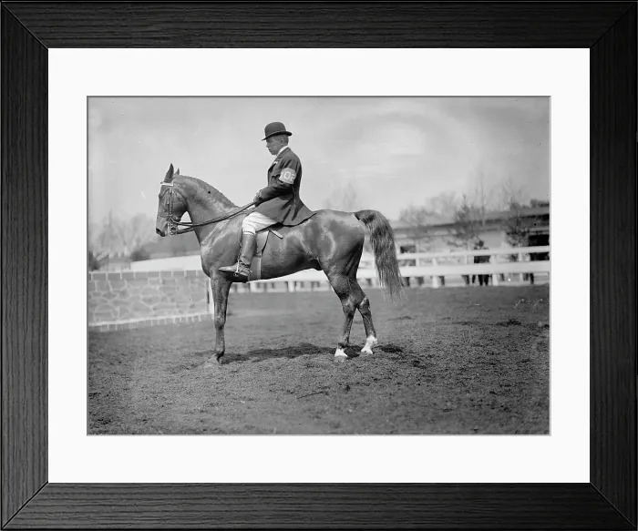 Framed Print : Horse Shows - Unidentified Men, Mtd. Or Hurdling, 1911. Creator: Harris & Ewing. Horse Shows - Unidentified Men, Mtd. Or Hurdling, 1911. Creator: Harris & Ewing Framed Print : Horse Shows - Unidentified Men, Mtd. Or Hurdling, 1911. Creator: Harris & Ewing. Horse Shows - Unidentified Men, Mtd. Or Hurdling, 1911. Creator: Harris & Ewing