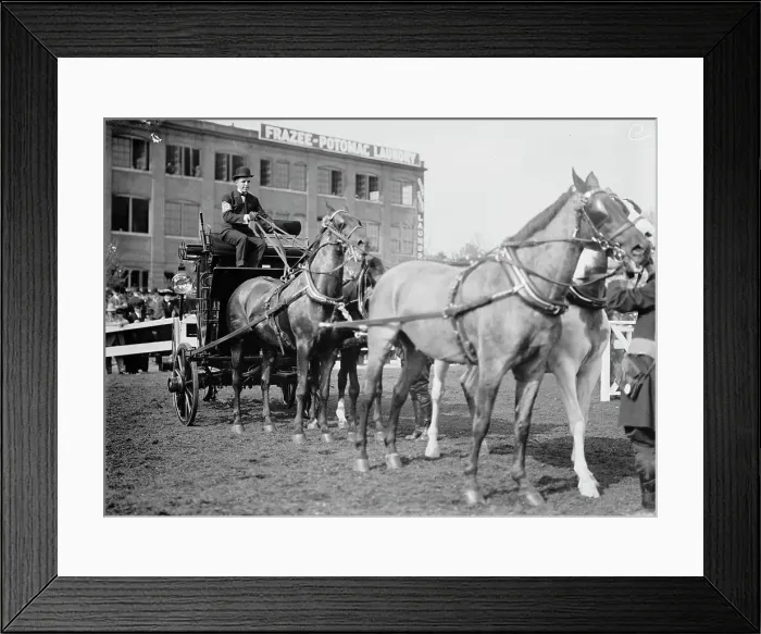 Framed Print : Horse Shows - Adolphus Busch, 3rd of St. Louis, 1911. Creator: Harris & Ewing. Horse Shows - Adolphus Busch, 3rd of St. Louis, 1911. Creator: Harris & Ewing Framed Print : Horse Shows - Adolphus Busch, 3rd of St. Louis, 1911. Creator: Harris & Ewing. Horse Shows - Adolphus Busch, 3rd of St. Louis, 1911. Creator: Harris & Ewing