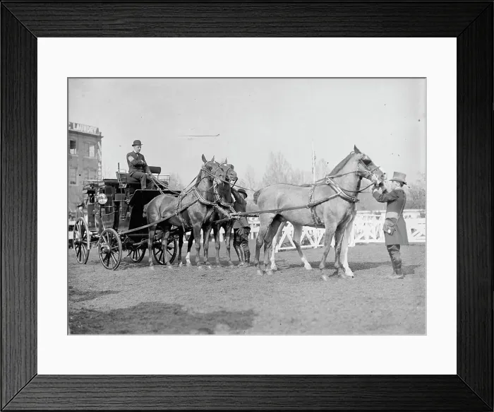 Framed Print : Horse Show - Busch, Adolphus, Iii, of St. Louis, 1911. Creator: Harris & Ewing. Horse Show - Busch, Adolphus, Iii, of St. Louis, 1911. Creator: Harris & Ewing Framed Print : Horse Show - Busch, Adolphus, Iii, of St. Louis, 1911. Creator: Harris & Ewing. Horse Show - Busch, Adolphus, Iii, of St. Louis, 1911. Creator: Harris & Ewing
