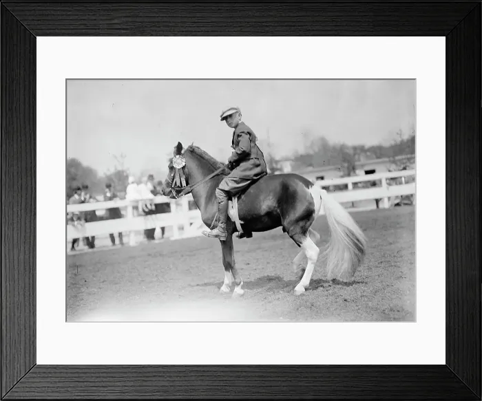Framed Print : Horse Shows - Children And Ponies, 1911. Creator: Harris & Ewing. Horse Shows - Children And Ponies, 1911. Creator: Harris & Ewing Framed Print : Horse Shows - Children And Ponies, 1911. Creator: Harris & Ewing. Horse Shows - Children And Ponies, 1911. Creator: Harris & Ewing