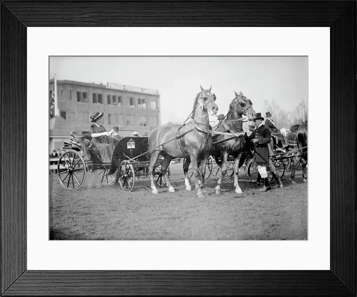Framed Print : Horse Shows, 1911. Creator: Harris & Ewing. Horse Shows, 1911. Creator: Harris & Ewing Framed Print : Horse Shows, 1911. Creator: Harris & Ewing. Horse Shows, 1911. Creator: Harris & Ewing