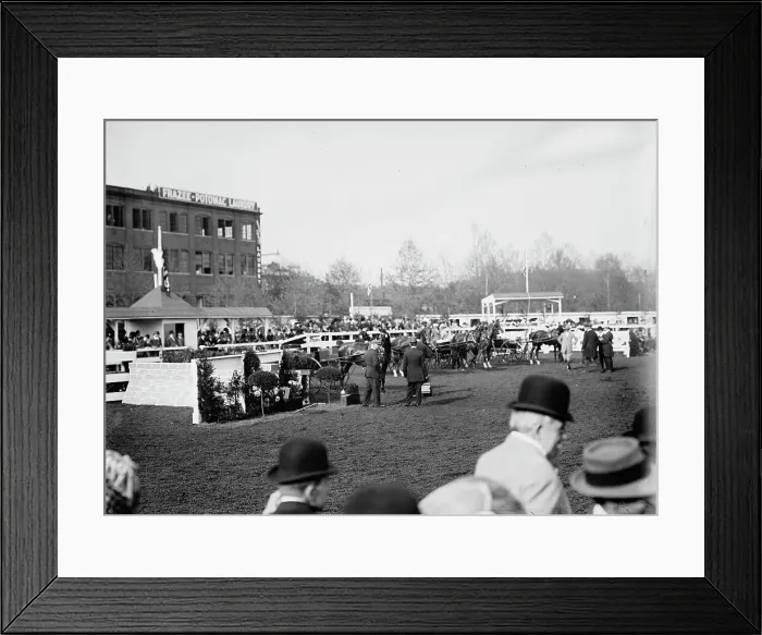 Framed Print : Horse Shows - General Views, 1911. Creator: Harris & Ewing. Horse Shows - General Views, 1911. Creator: Harris & Ewing Framed Print : Horse Shows - General Views, 1911. Creator: Harris & Ewing. Horse Shows - General Views, 1911. Creator: Harris & Ewing