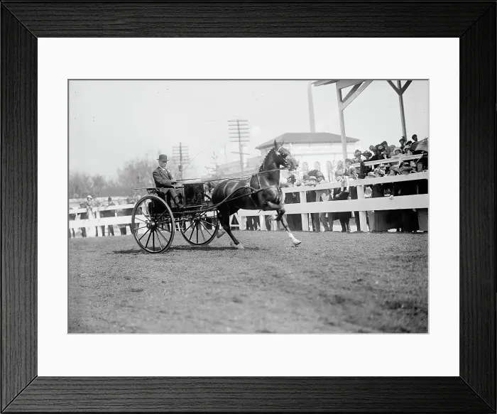 Framed Print : Horse Shows - Unidentified Men, Driving, 1911. Creator: Harris & Ewing. Horse Shows - Unidentified Men, Driving, 1911. Creator: Harris & Ewing Framed Print : Horse Shows - Unidentified Men, Driving, 1911. Creator: Harris & Ewing. Horse Shows - Unidentified Men, Driving, 1911. Creator: Harris & Ewing