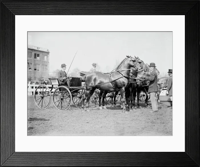 Framed Print : Horse Shows - Judging Team, 1911. Creator: Harris & Ewing. Horse Shows - Judging Team, 1911. Creator: Harris & Ewing Framed Print : Horse Shows - Judging Team, 1911. Creator: Harris & Ewing. Horse Shows - Judging Team, 1911. Creator: Harris & Ewing