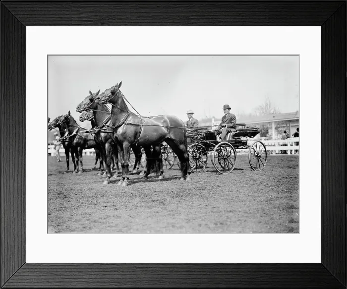 Framed Print : Horse Shows - Teams, 1911. Creator: Harris & Ewing. Horse Shows - Teams, 1911. Creator: Harris & Ewing Framed Print : Horse Shows - Teams, 1911. Creator: Harris & Ewing. Horse Shows - Teams, 1911. Creator: Harris & Ewing