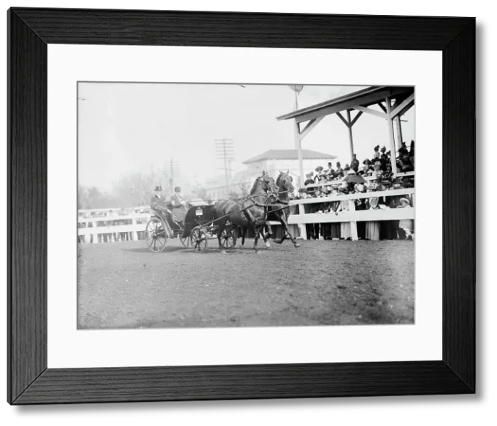 Framed Print : Horse Shows - Mclean Entries, 1911. Creator: Harris & Ewing. Horse Shows - Mclean Entries, 1911. Creator: Harris & Ewing Framed Print : Horse Shows - Mclean Entries, 1911. Creator: Harris & Ewing. Horse Shows - Mclean Entries, 1911. Creator: Harris & Ewing
