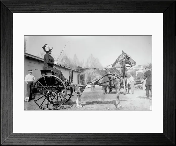Framed Print : Horse Shows - Mrs. C.W. Watson Driving, 1911. Creator: Harris & Ewing. Horse Shows - Mrs. C.W. Watson Driving, 1911. Creator: Harris & Ewing Framed Print : Horse Shows - Mrs. C.W. Watson Driving, 1911. Creator: Harris & Ewing. Horse Shows - Mrs. C.W. Watson Driving, 1911. Creator: Harris & Ewing