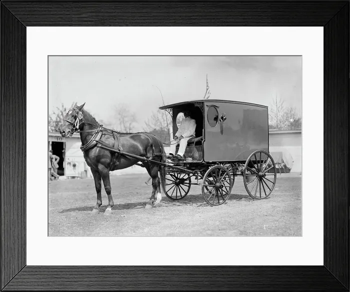 Framed Print : Horse Shows - Horse And Wagon, 1911. Creator: Harris & Ewing. Horse Shows - Horse And Wagon, 1911. Creator: Harris & Ewing Framed Print : Horse Shows - Horse And Wagon, 1911. Creator: Harris & Ewing. Horse Shows - Horse And Wagon, 1911. Creator: Harris & Ewing